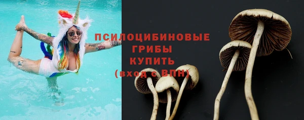 2c-b Балабаново