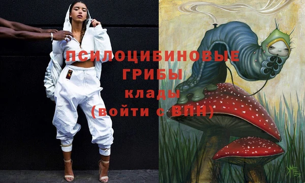 крисы Баксан