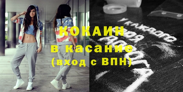 крисы Баксан